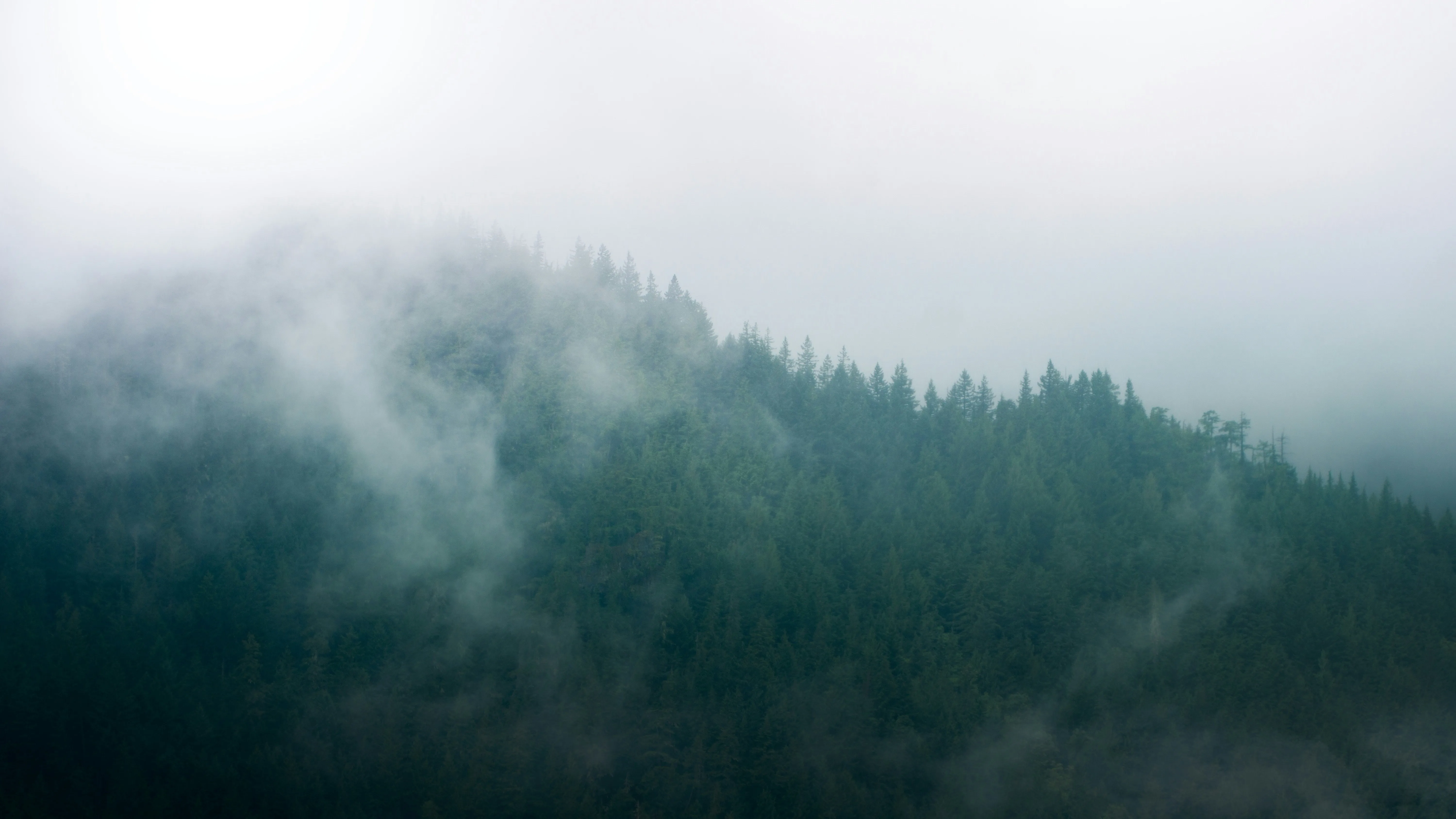Fog mountain